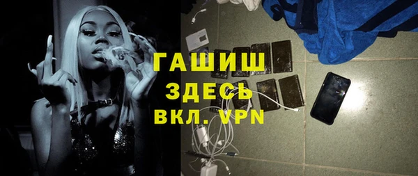 шишки Билибино