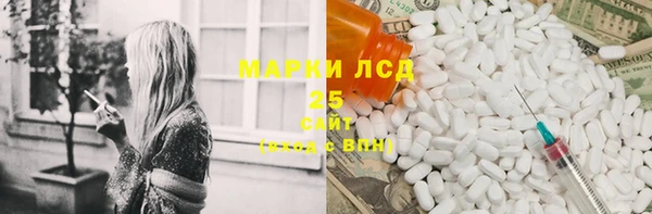 бошки Пересвет