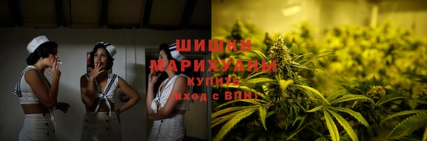 индика Покачи