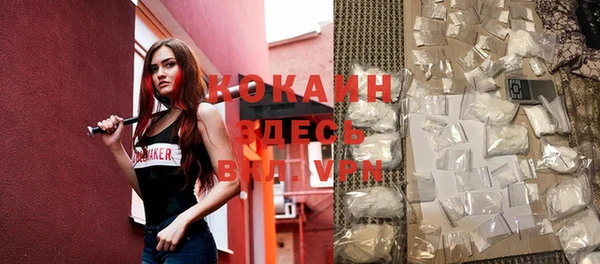 бошки Пересвет