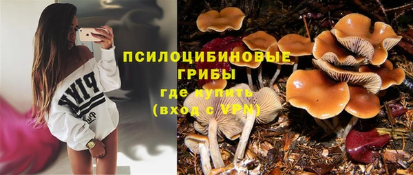 таблы Пестово