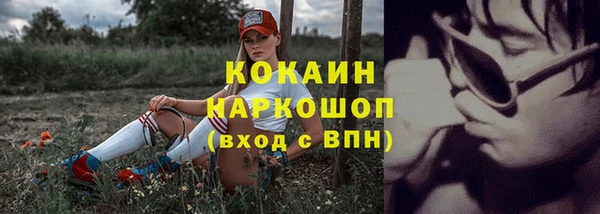 бошки Пересвет