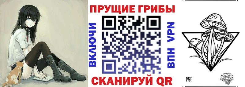 Галлюциногенные грибы Psilocybe  Отрадный 