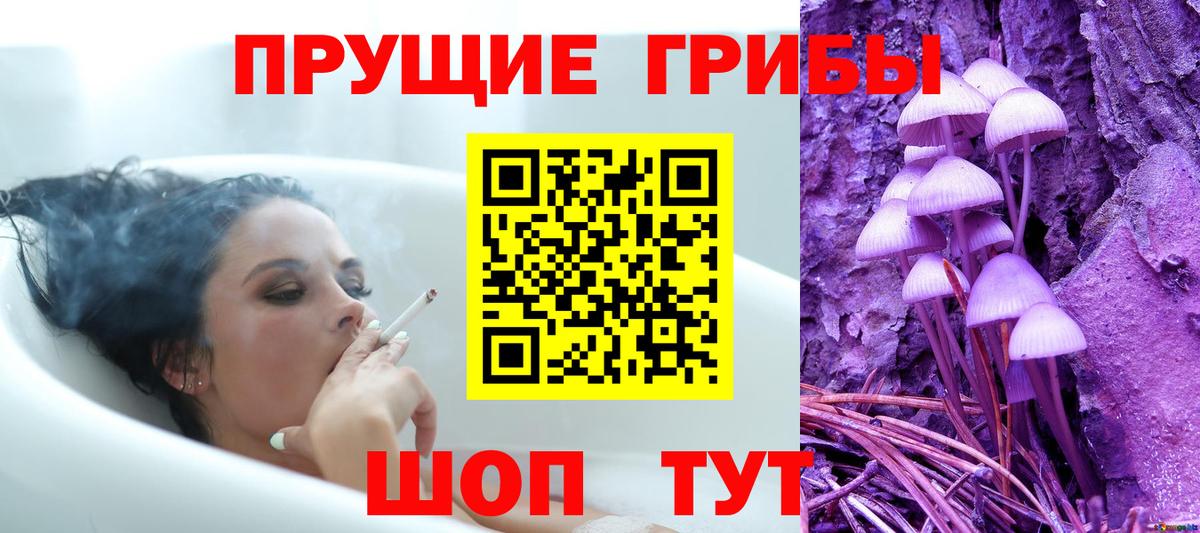 магазин продажи   Псилоцибиновые грибы Cubensis  Отрадный  Вход с VPN  Псилоцибиновые грибы GOLDEN TEACHER 