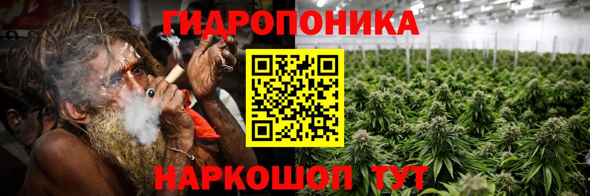 Каннабис White Widow Отрадный